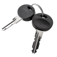 Traxer-Schlüssel 2194 (2 Stück)