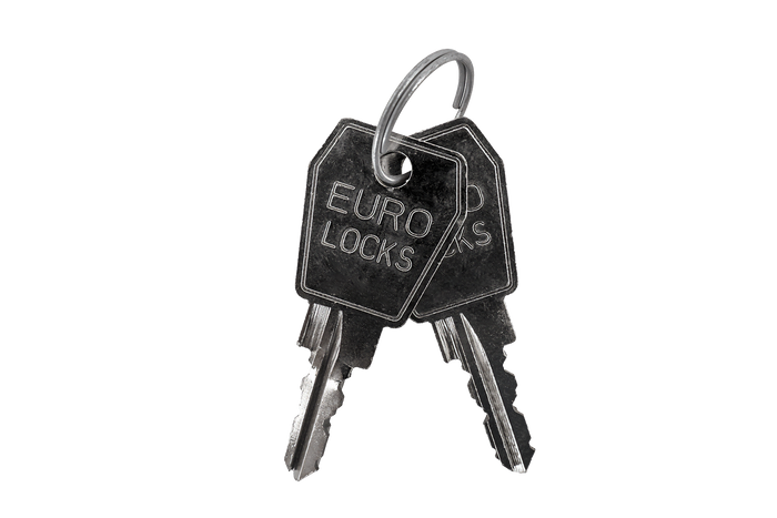 Carver-Schlüssel 25046 (2 Stück)