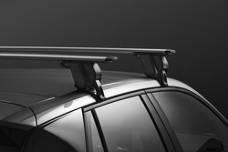 Mont Blanc Furka D+E Dachgepäckträger silber