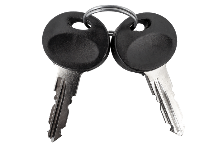 Traxer-Schlüssel 2192 (2 Stück)