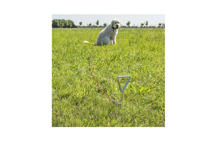 ProPlus 361857 Hundeanbindepfosten mit Stahlseil 4,5 m
