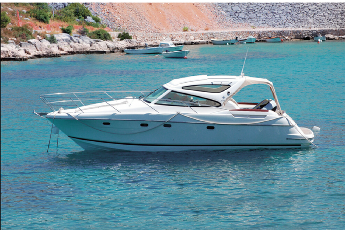 Elektrische Tauchpumpe LAMPA 12V 30L/min