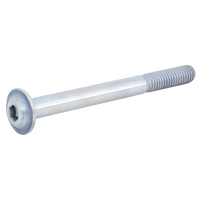 Feststellschraube für Fahrradplattform-Lenker - Atera Strada 9908700016