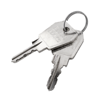 Carver-Schlüssel 25034 (2 Stück)